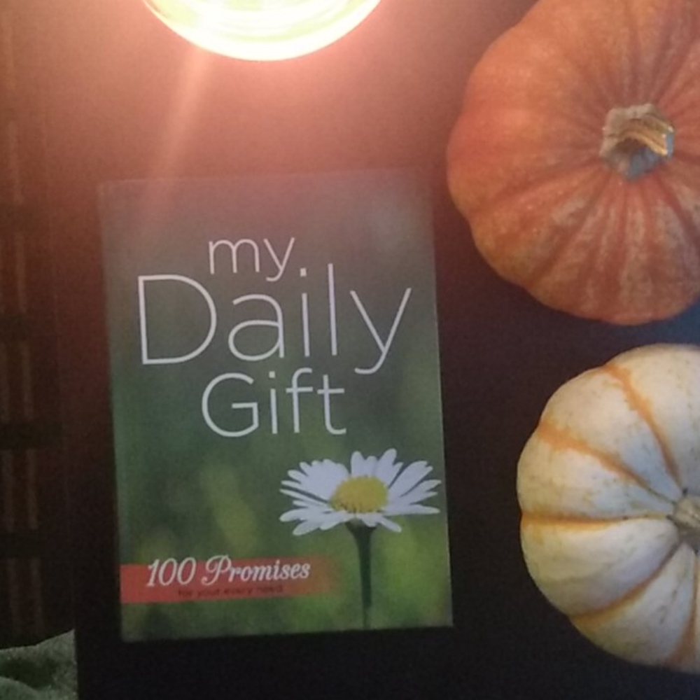 My Daily Gift (Promises to self book)